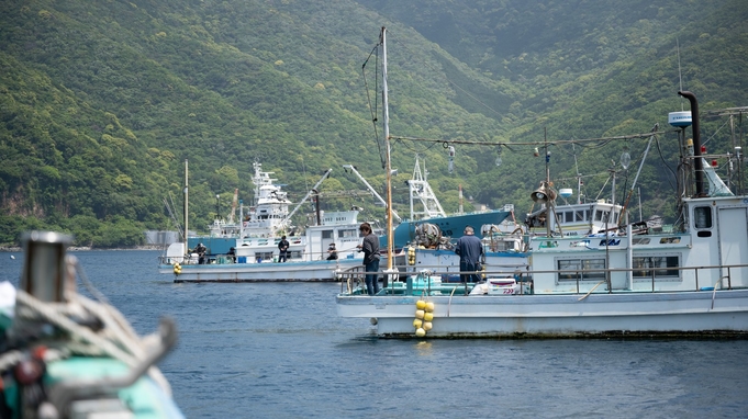 駿河湾釣舟付き金曜日、土曜日限定プラン